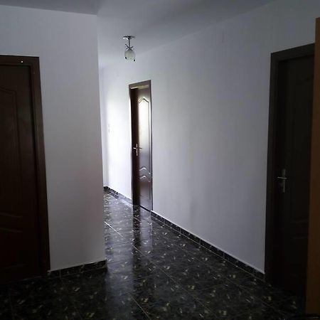 Partizanii Casa Marcone旅馆 外观 照片