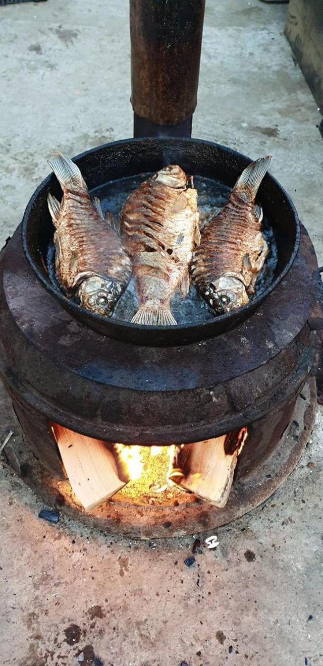 Partizanii Casa Marcone旅馆 外观 照片