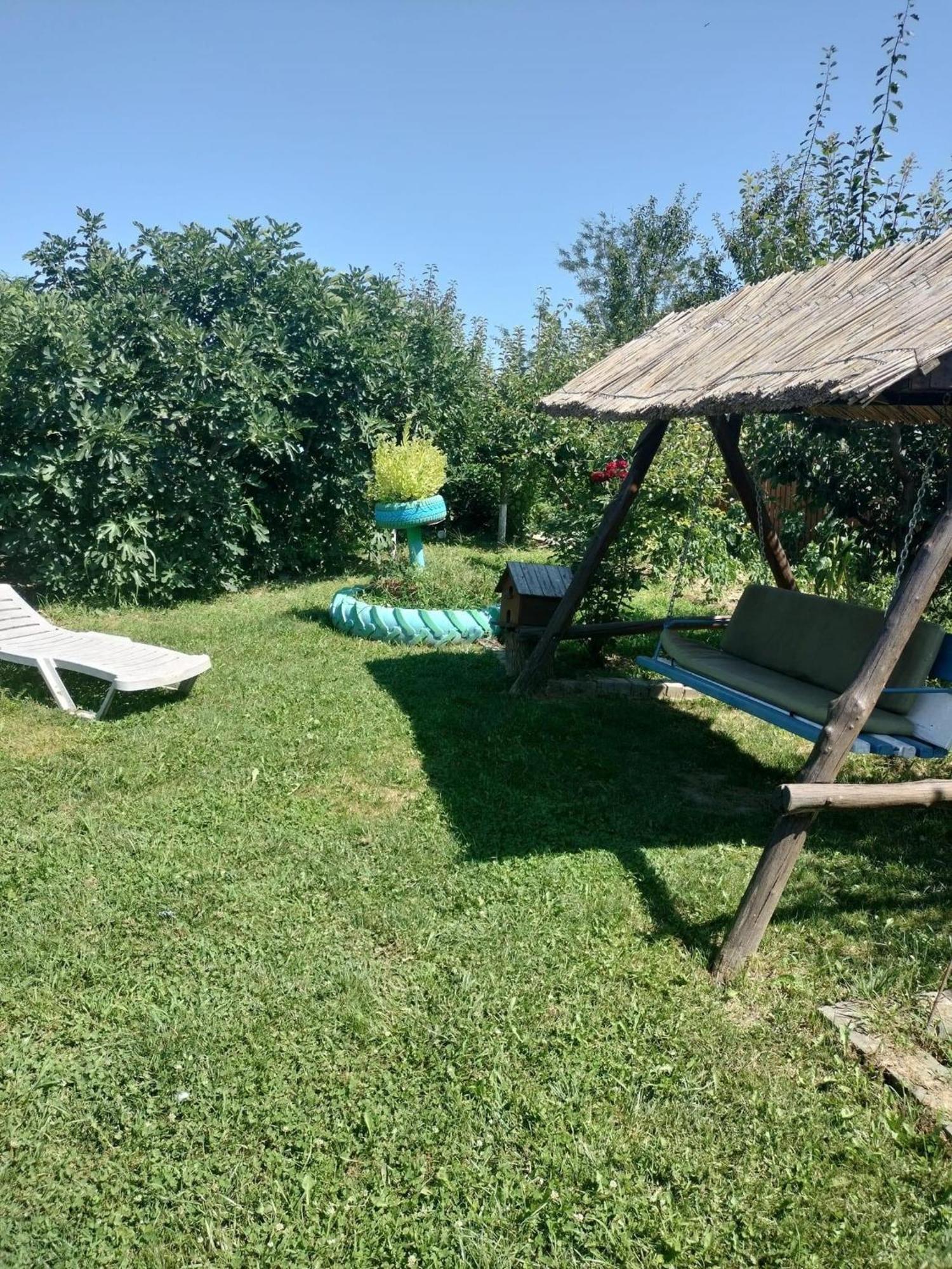 Partizanii Casa Marcone旅馆 外观 照片