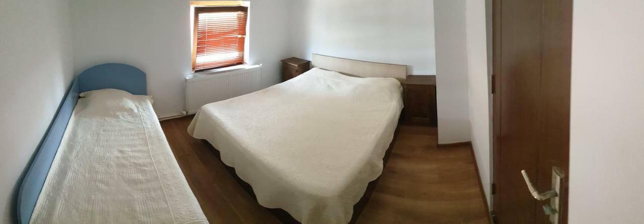Partizanii Casa Marcone旅馆 外观 照片